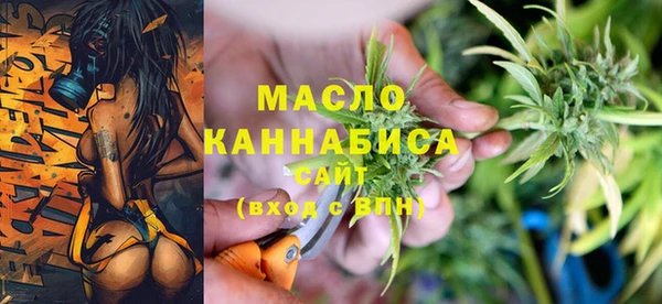 молекула духа Каменка